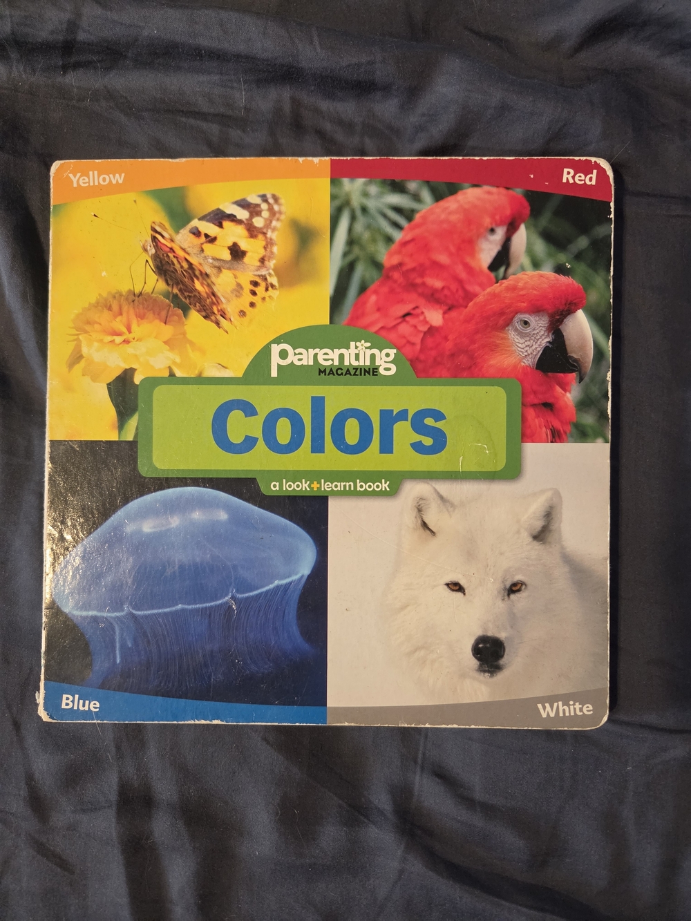 Colors Board Book - White, Red, Blue, Yellow